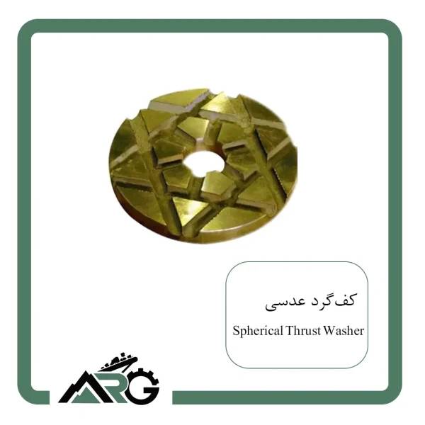 کف گرد عدسی